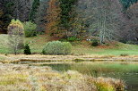 Photo de l'automne sur la vgtation autour du lac Gnin dans le Haut Bugey