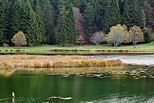 Photo des berges du lac Gnin dans le Haut Bugey