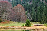 Photographie des couleurs d'automne sur le Petit Canada du Haut Bugey