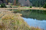 Photo des couleurs d'automne sur la vgtation des berges du lac Gnin