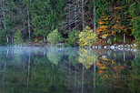 Photo d'un matin d'automne sur les berges du lac Génin