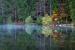 Photo of an autumn morning on the banks of lake Genin