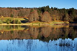 Photographie de l'automne sur la fort des bords du lac Gnin