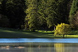 Photographie de la lumire d'un matin d'automne au bord du lac Gnin