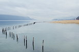 Photographie des bords du lac du Bourget en hiver