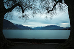 Photo du lac d'Annecy sous les platanes du parc de l'Impérial