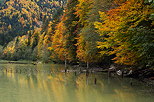 Image of autumn colors on the bank of lake Vallon in Bellevaux