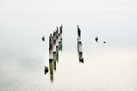 Image des vestiges d'un ancien ponton sur le Lac Léman à Thonon les Bains