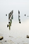 Photo des restes d'un ancien ponton sur le Lac Léman