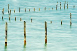 Picture of wood poles in the blue water of Annecy lake