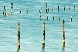 Photo de piquets dans le lac d'Annecy  Saint Jorioz