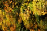 Photograph of an autumn forest reflecting on the water of Montriond lake in Haute Savoie