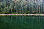 Image d'une fort de conifres et de son reflet dans l'eau du lac de Montriond