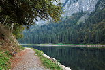 Photographie d'un chemin d'automne sur les bords du lac de Montriond