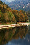 Image de la fort d'automne au bord du lac de Montriond en Haute Savoie