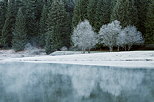 Photographie du givre sur les bords du lac Gnin  la fin de l'automne