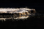 Image of the first sunrays on the frosted vegetation around lake Genin