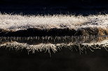 Image of the frosted banks of Genin lake in the light of the firs sunrays