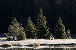 Photo of the frosted banks of Genin lake in the first morning light