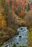 Image de la fort d'automne autour de la rivire du Flumen