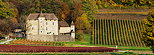 Photograph of Mecoras castle and Chautagne vineyard in autumn