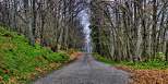 Photo HDR d'une route de montagne  travers la fort des Maures