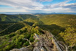 HDR image of a springtime landscape in Massif des Maures