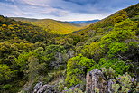 Paysage HDR de la fort du Massif des Maures sous les nuages