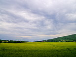 Photo HDR d'un champ de crales sous un ciel d'orage dans les Alpes de Haute Provence