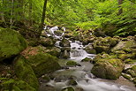 Photographie des Gorges du Bronze parsemes de petites cascades dans le Massif des Bornes