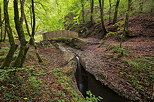 Photo d'un paysage d'automne autour de la cascade de la Tine de Parnant