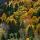Photo de la palette des couleurs de l'automne sur la forêt des montagnes autour de Bellevaux