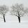 Photo de deux arbres sous la neige dans la campagne de Haute Savoie