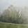 Image de champs, d'arbres et de brouillard un matin d'automne