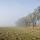 Image d'un paysage brumeux sur le plateau des Daines un matin d'hiver