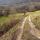 Photo d'un chemin à travers champs au pied de la montagne du Vuache