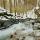 Photo de la rivière et de la forêt de la Valserine en hiver