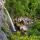 Photo de la cascade de Cerveyrieu et de la rivière du Séran au printemps