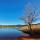 Photo d'un arbre solitaire sur les berges du lac des Escarcets dans le Var