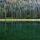 Image d'une forêt de conifères et de son reflet dans l'eau du lac de Montriond