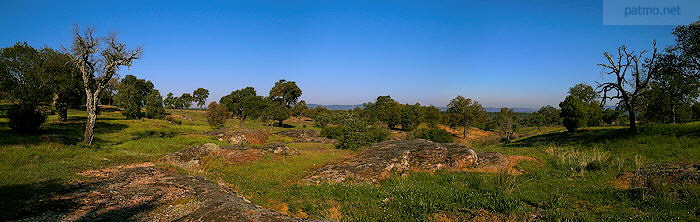 Photo panoramique de la plaine des maures