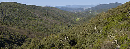 Massif des Maures