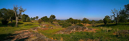 Photo panoramique de la plaine des maures