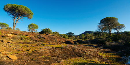 Paysage panoramique de la plaine des Maures