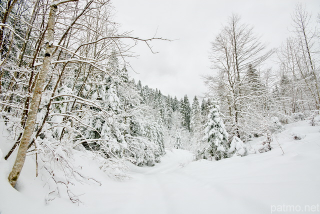 Photograph of a snowy winter landscape in Valserine valley