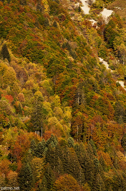 Image de l'automne sur la fort de la montagne du Parmelan