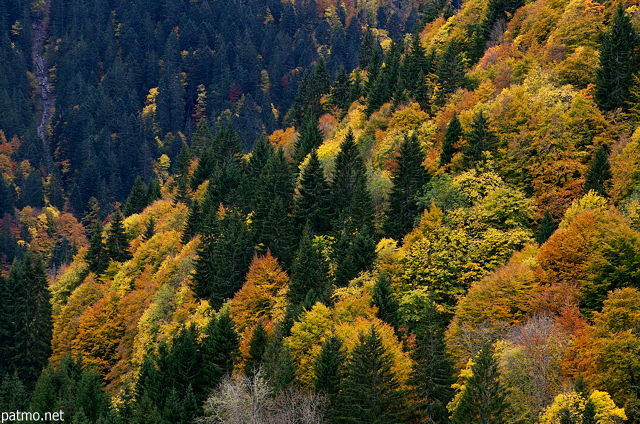 Photo de l'automne en montagne à Bellevaux en Haute Savoie