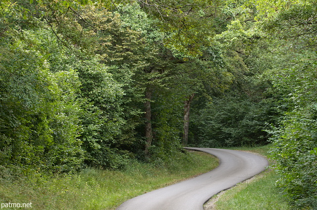 Photographie d'une petite route sinueuse traversant la forêt à Chaumont en Haute Savoie