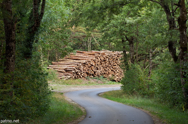 Image de billons empilés au bord de la route dans la forêt de Chaumont en Haute Savoie