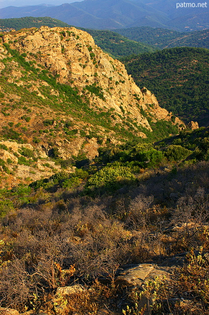 Photo du Massif des Maures vu depuis les crtes du Laquina